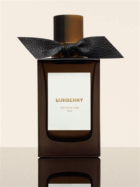 sukcesja burberry|burberry signatures for men.